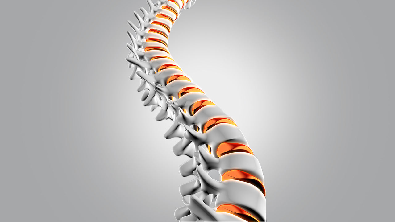 ВНУТРІШНЬОКАСКАДНИЙ ТИСК В ХРЕБТІ ПРИ РІЗНИХ ПОЛОЖЕННЯХ ТІЛА - TEHNOTABLE