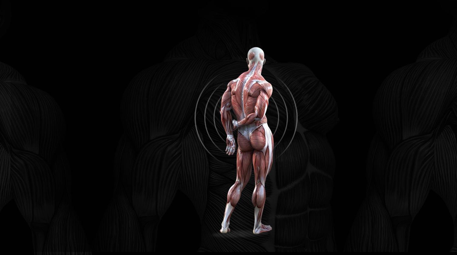 МІОФАСКА І ТРИВАЛЕ СИДІННЯ - TEHNOTABLE