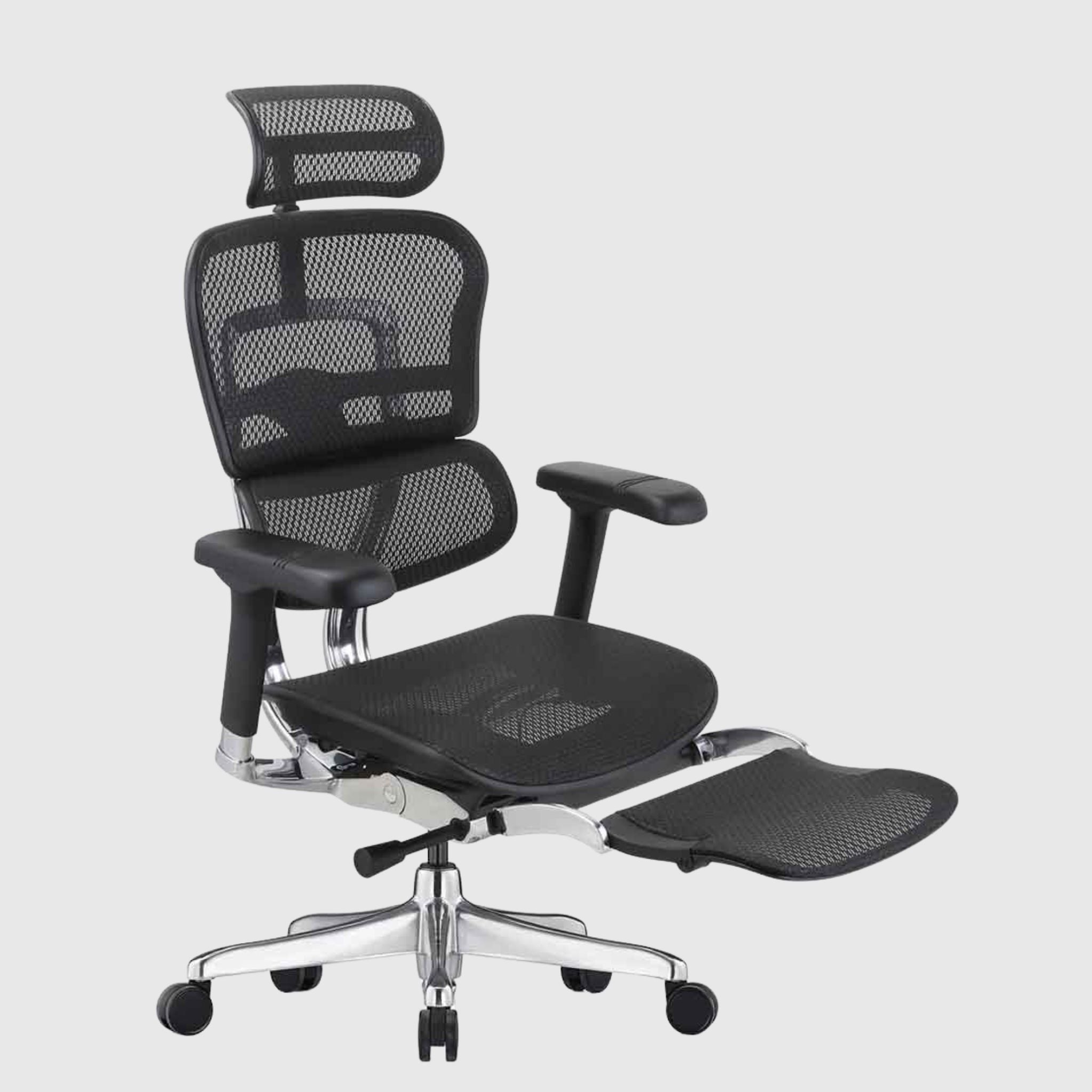 Ергономічне крісло Ergohuman Elite 2 з підставкою для ніг, сітчастою спинкою та мультирегулювання