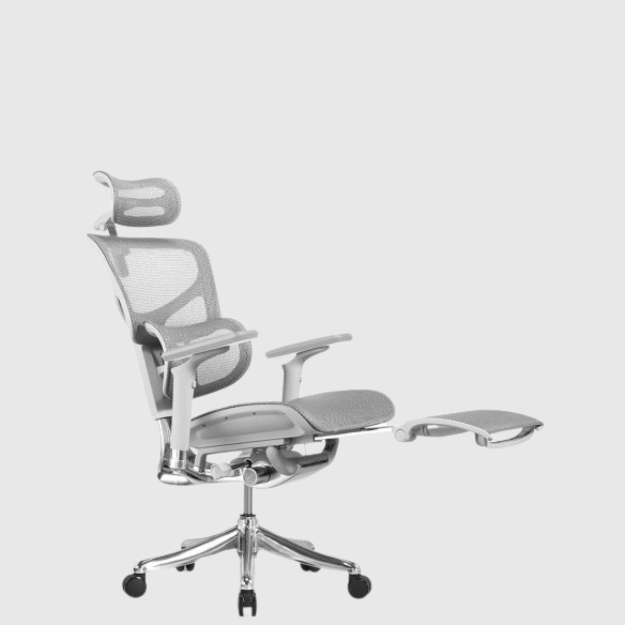 Ергономічне крісло Ergohuman Elite 2 з підставкою для ніг, сітчастою спинкою та мультирегулювання