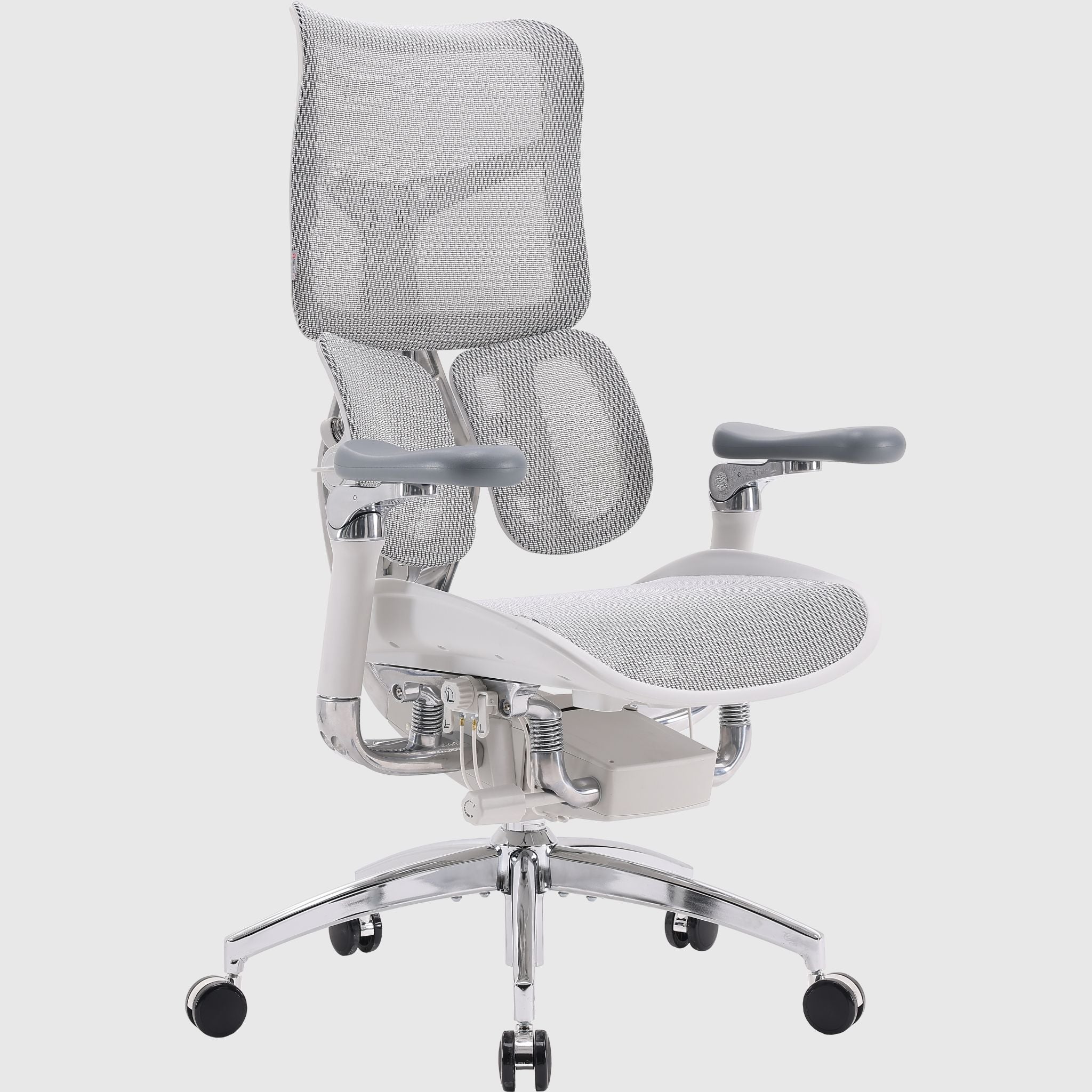 Ергономічне офісне крісло Sihoo DORO S300 Mesh з підтримкою спини