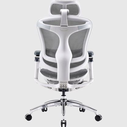 Офісне ергономічне крісло Sihoo DORO C300 Pro Mesh для спини та комфорту