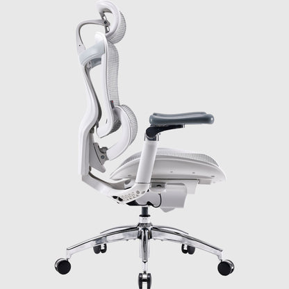 Офісне ергономічне крісло Sihoo DORO C300 Pro Mesh для спини та комфорту
