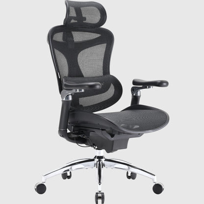 Офісне ергономічне крісло Sihoo DORO C300 Pro Mesh для спини та комфорту