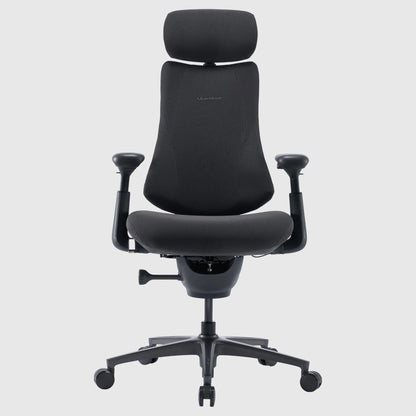 Ергономічне крісло LiberNovo Omni Pro Graphite 48 см, вигляд спереди
