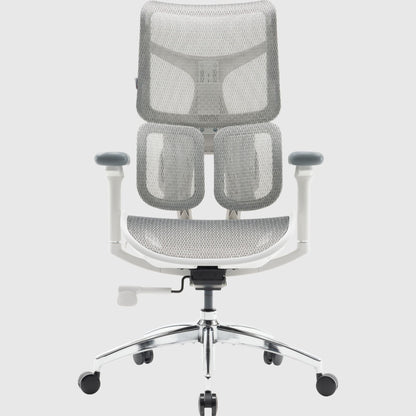 Крісло офісне Sihoo DORO S100 Mesh з сітчастою спинкою, регулюванням висоти та підтримкою попереку