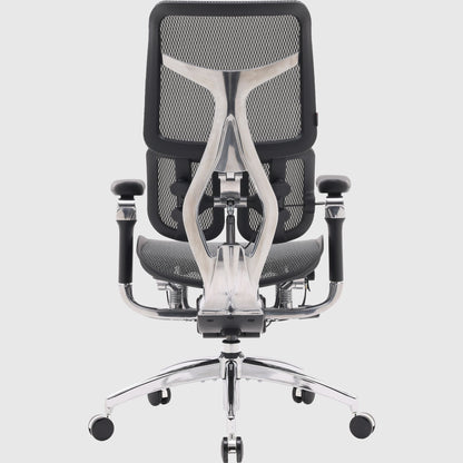 Ергономічне офісне крісло Sihoo DORO S300 Mesh з підтримкою спини