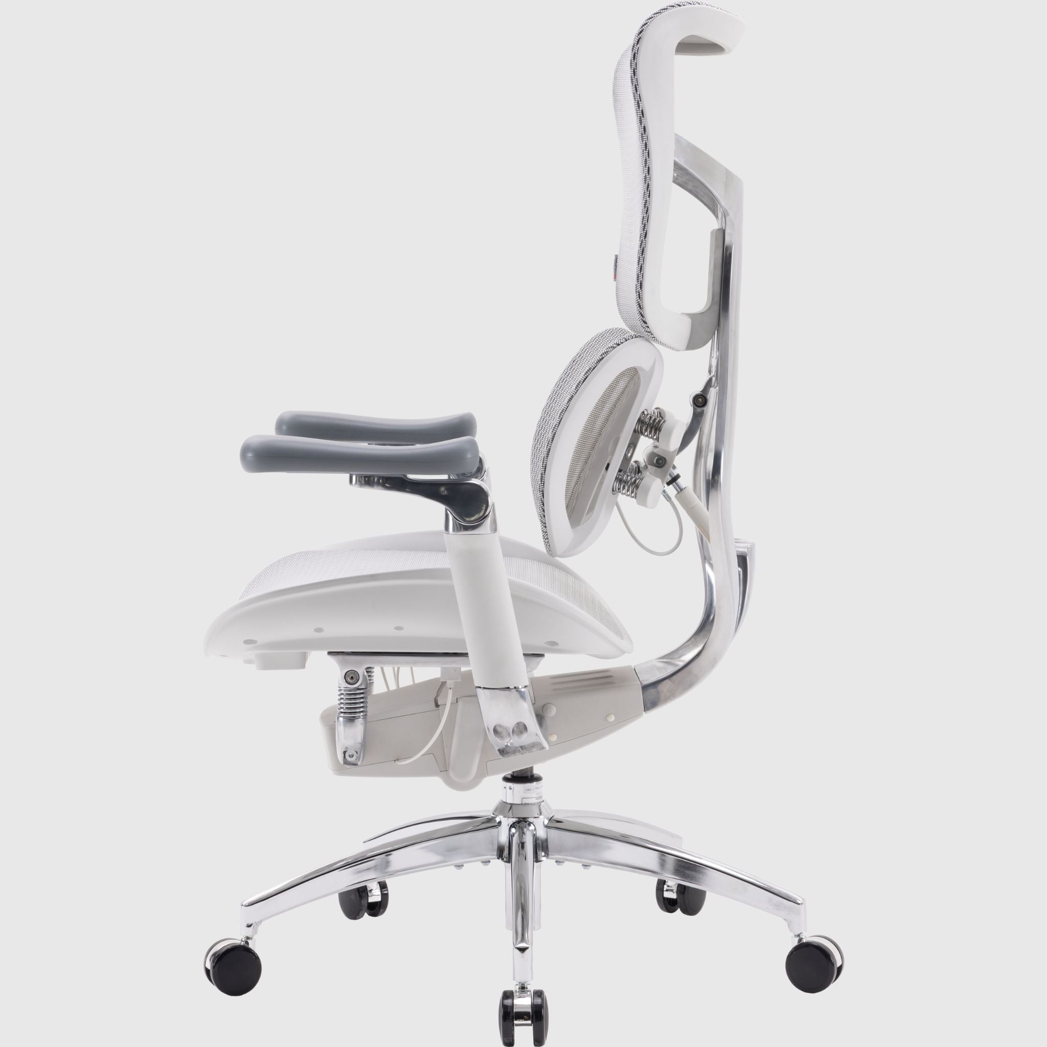 Ергономічне офісне крісло Sihoo DORO S300 Mesh з підтримкою спини