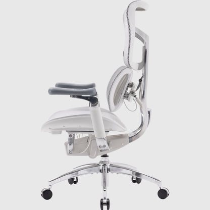 Ергономічне офісне крісло Sihoo DORO S300 Mesh з підтримкою спини