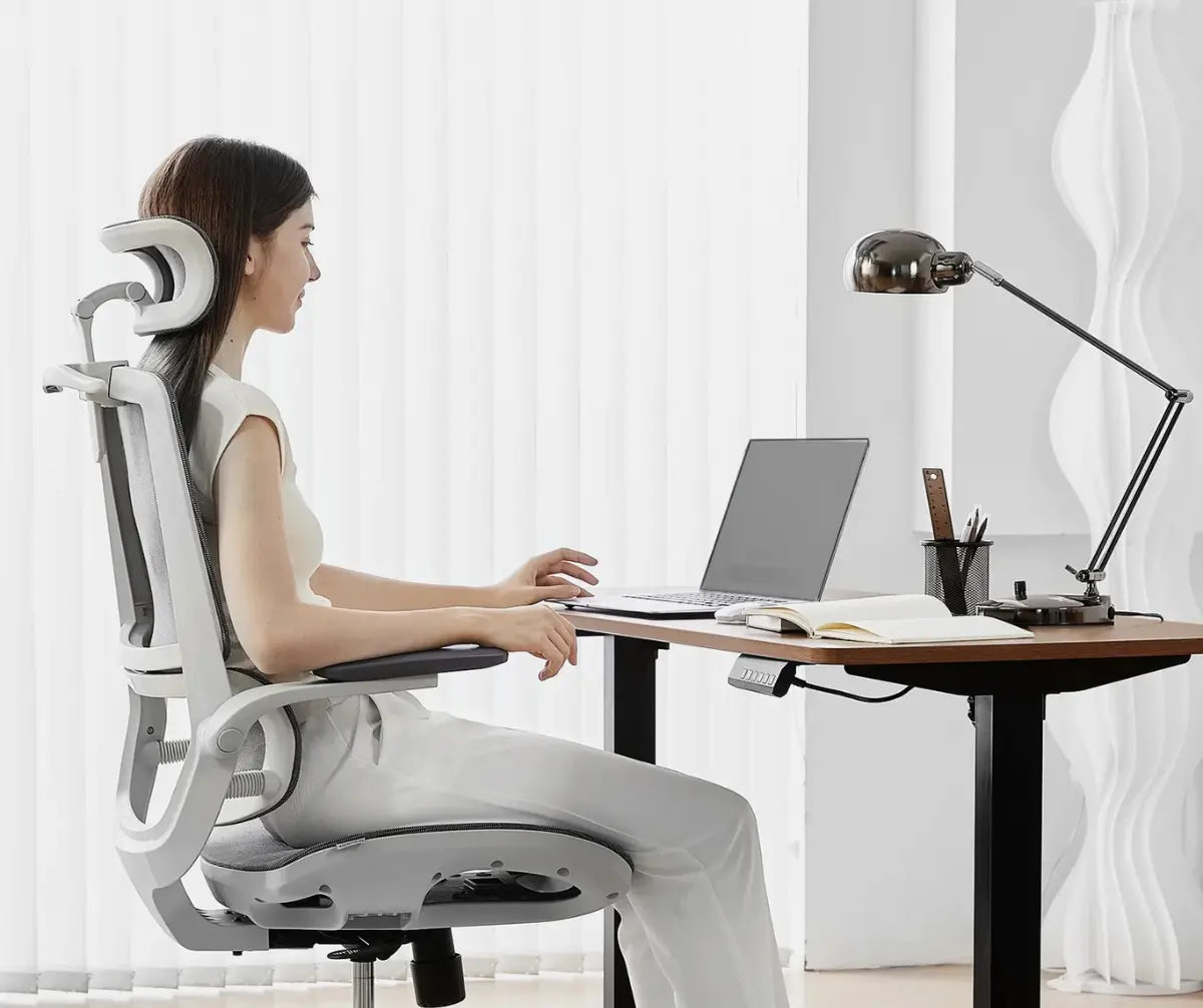 Крісло SIHOO M59AS з підтримкою спини та попереку