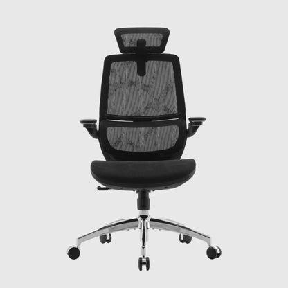 Крісло SIHOO M59AS з підтримкою спини та попереку